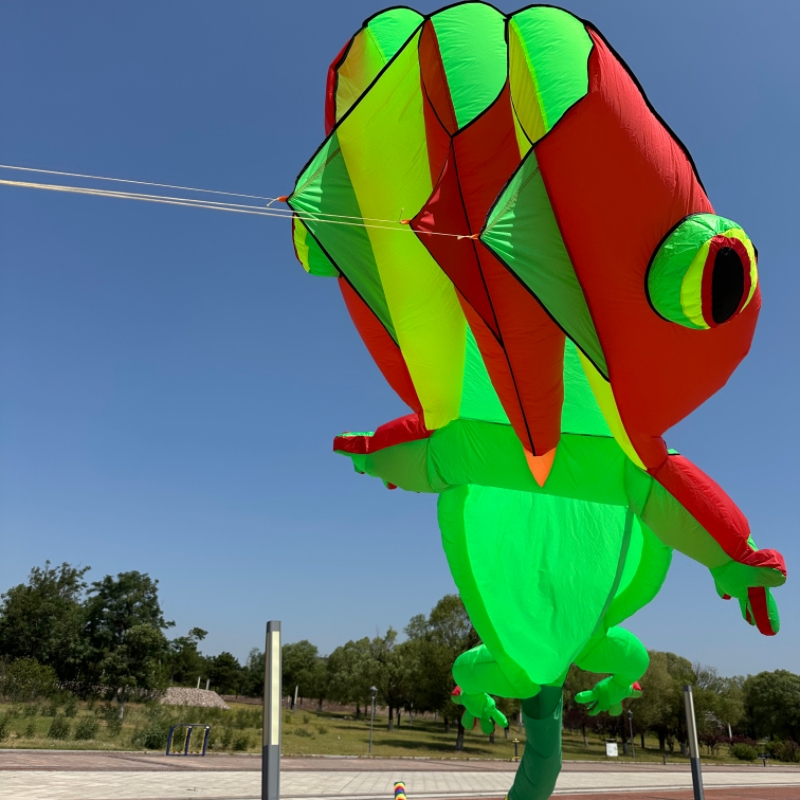 Outdoor Sport 14m Giant Gecko  - Outdoor Sport An recension och pris