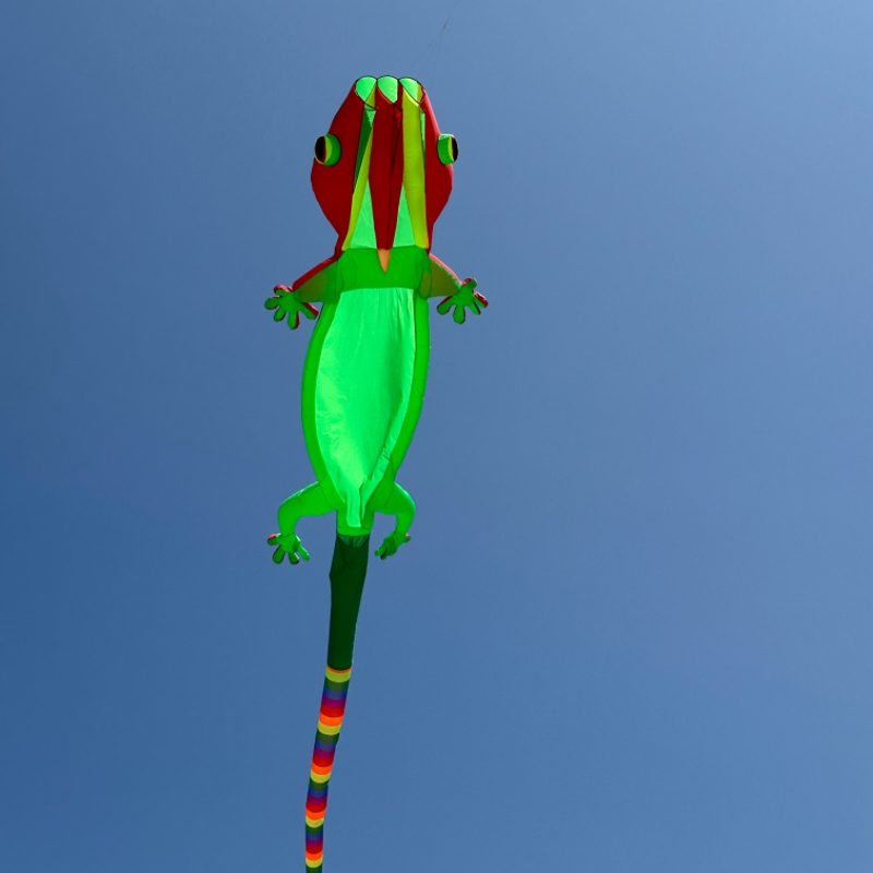 Outdoor Sport 14m Giant Gecko  - Outdoor Sport An recension och pris
