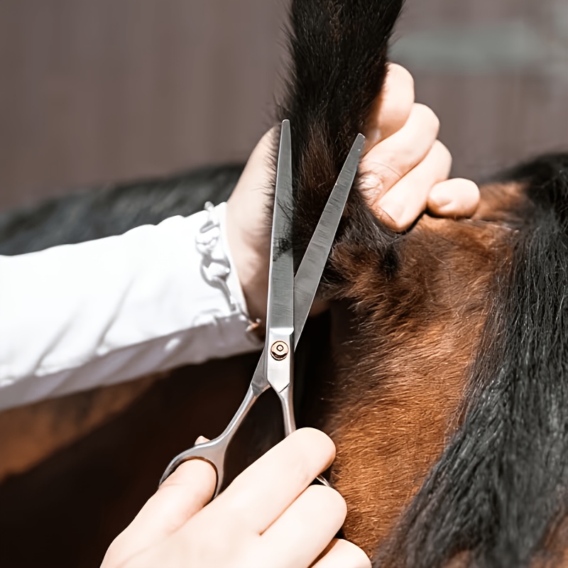Horse Grooming Tool Set Stainl - Grooming Kit Horse recension och pris