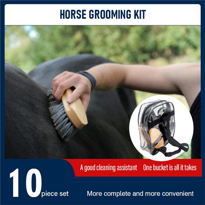 【SPECIAL】Equestrian For Horse  - Grooming Kit Horse recension och pris