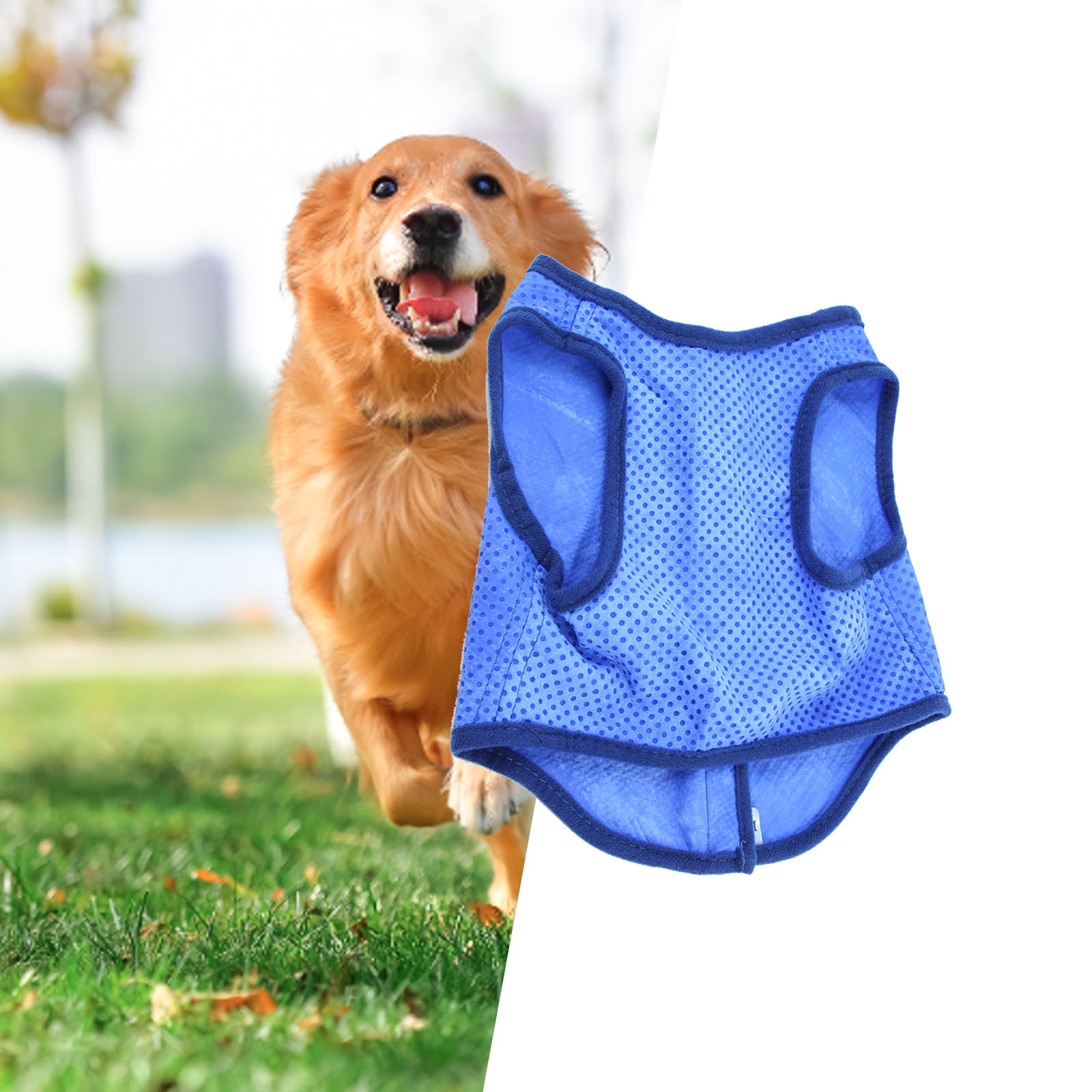 Dog Cooling Vest Breathable Su - Outdoor Sport Coat recension och pris