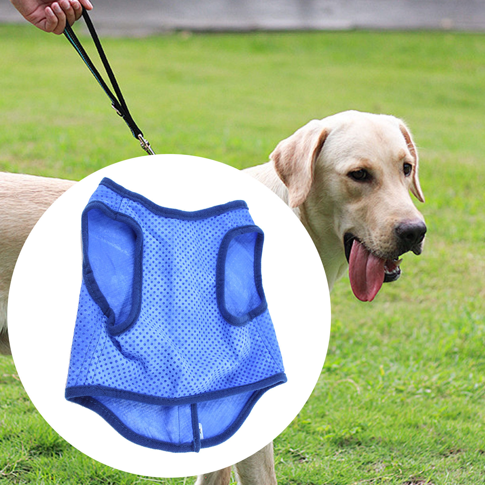 Dog Cooling Vest Breathable Su - Outdoor Sport Coat recension och pris