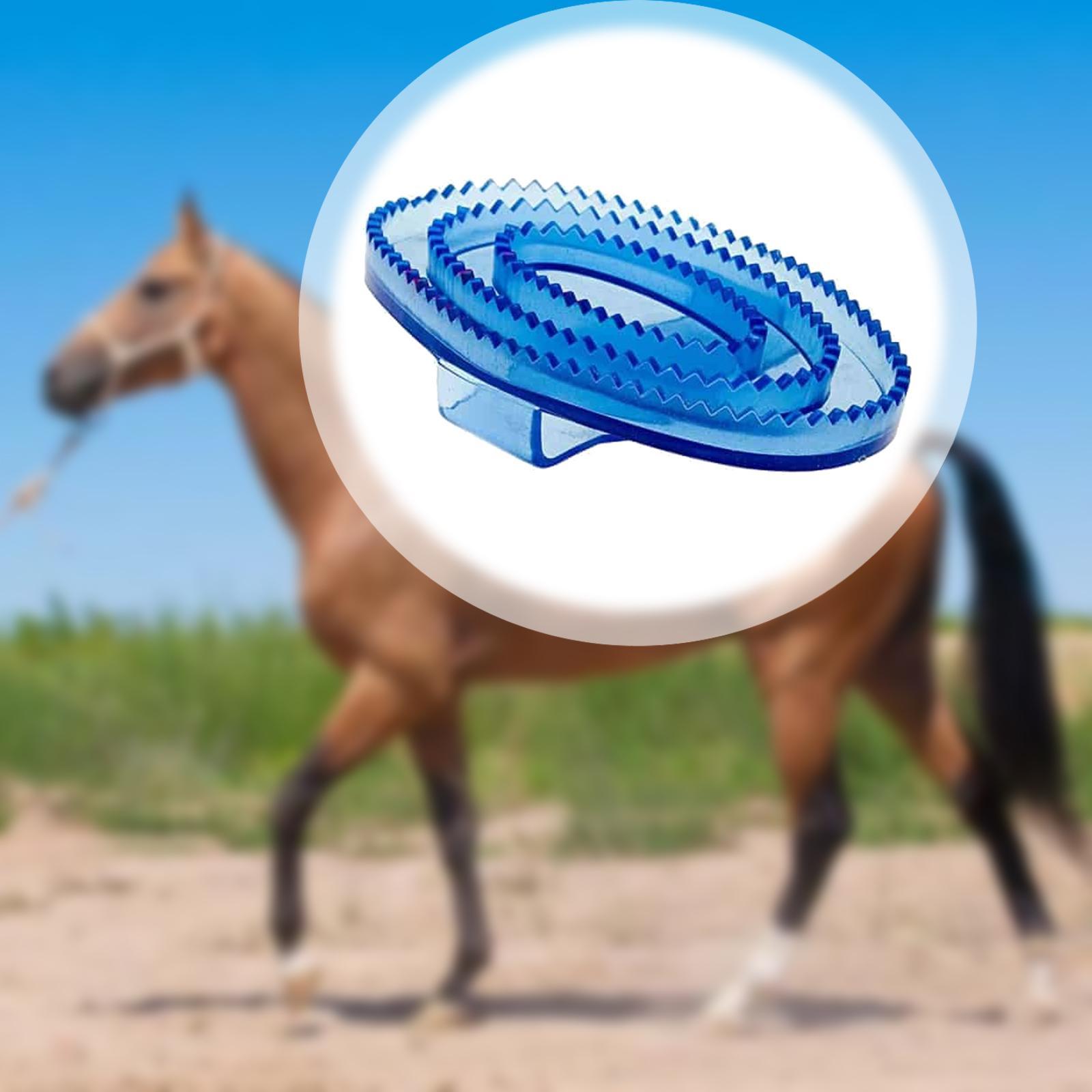 Equine Grooming Massage Curry  - Grooming Kit Horse recension och pris