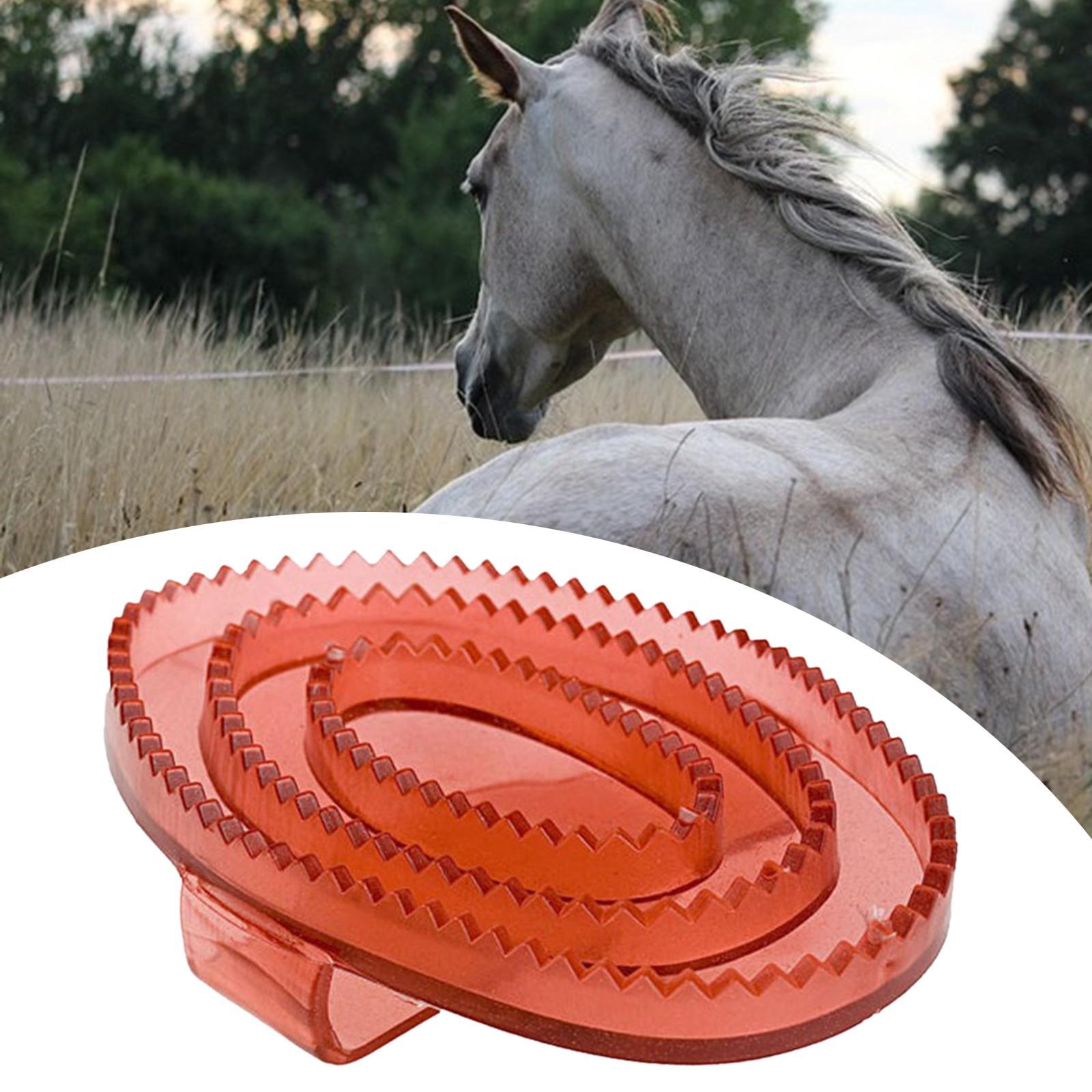 Equine Grooming Massage Curry  - Grooming Kit Horse recension och pris