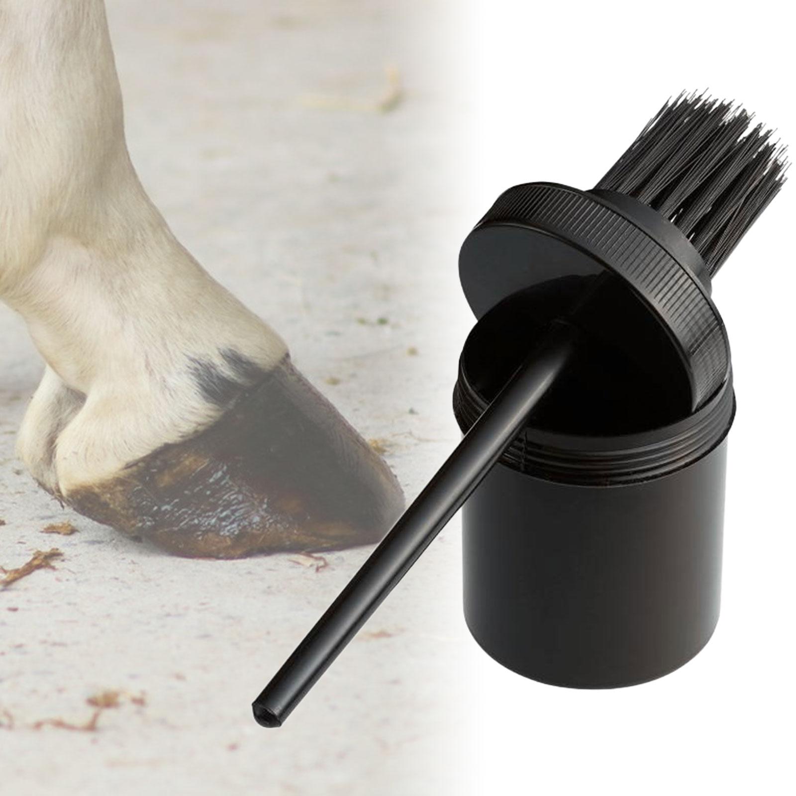 Horse Hoof Oil Brush Soft Hoof - Grooming Kit Horse recension och pris