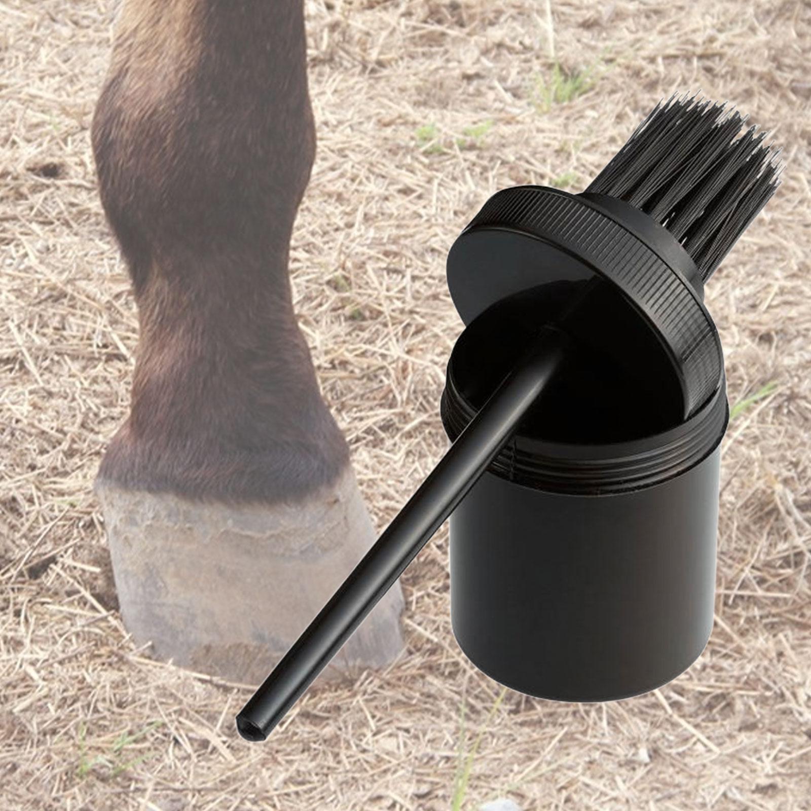 Horse Hoof Oil Brush Soft Hoof - Grooming Kit Horse recension och pris